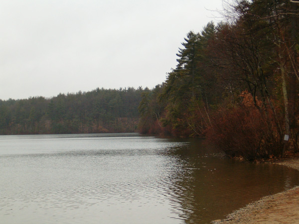 a photograph of Walden Pond