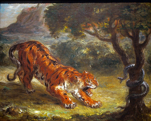 a tiger fighting a snake 